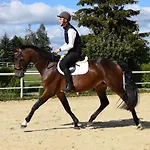 Prohipo Stables - Romantic Bed and breakfast