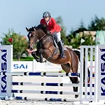 Prohipo Stables - Romantic 4*
