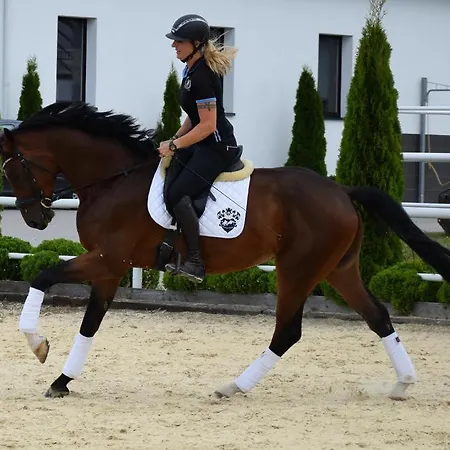 Prohipo Stables - Romantic Oda ve Kahvaltı 4*