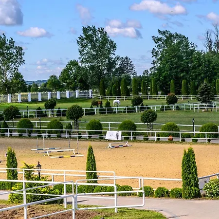Prohipo Stables - Romantic