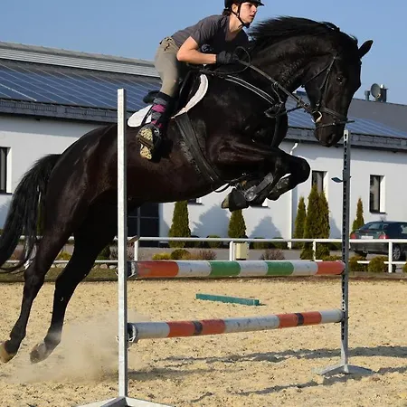 Prohipo Stables - Romantic Oda ve Kahvaltı 4*
