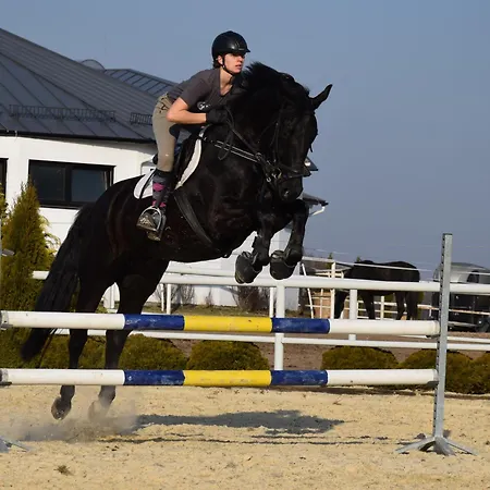 Prohipo Stables - Romantic