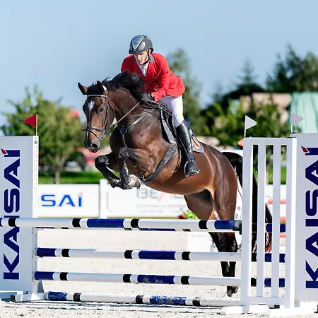 Prohipo Stables - Romantic 4*